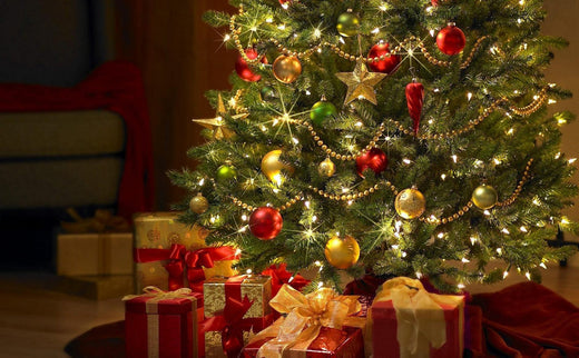 Outdoor Christmas Tree