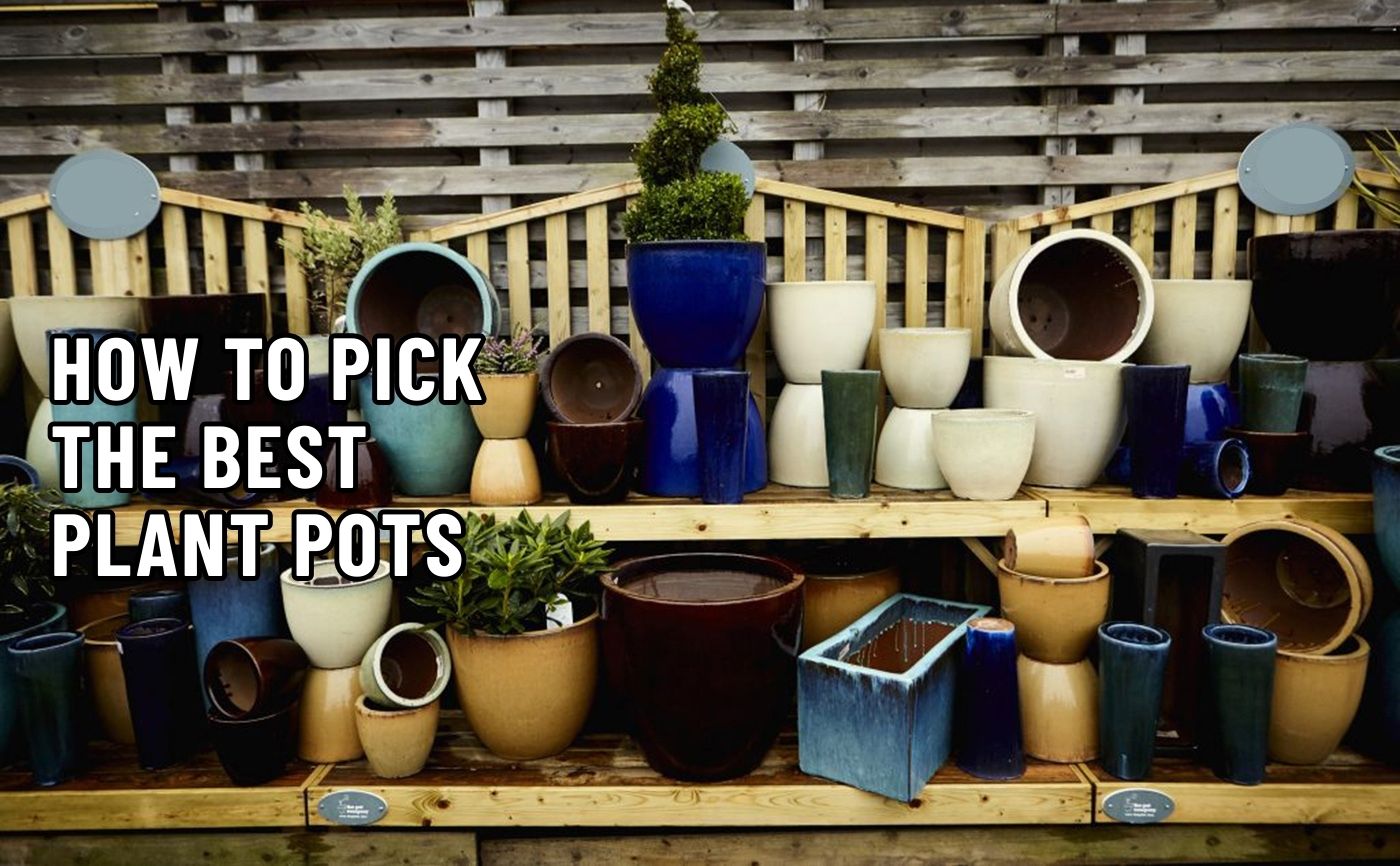 How To Pick The Best Plant Pots