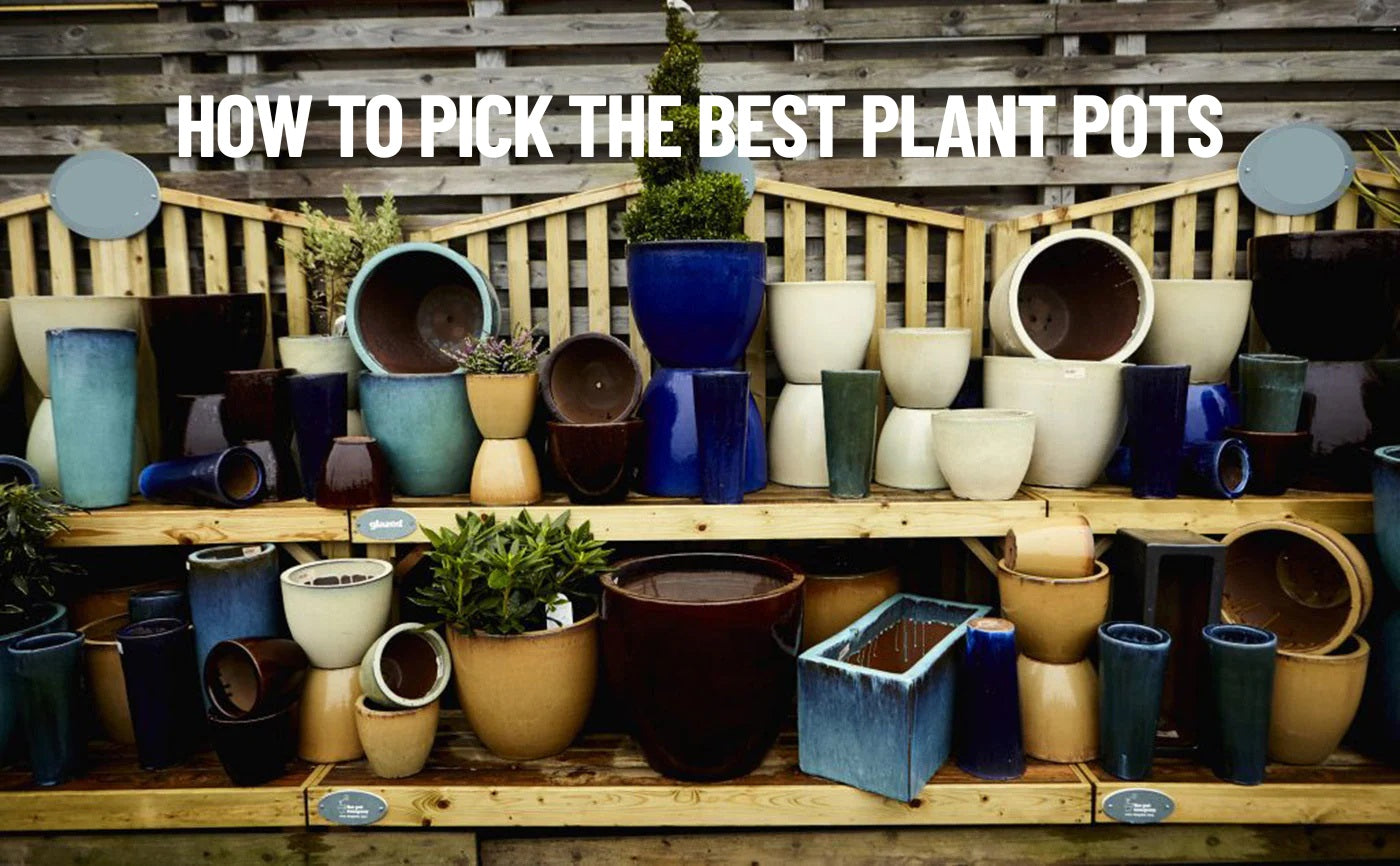 How To Pick The Best Plant Pots