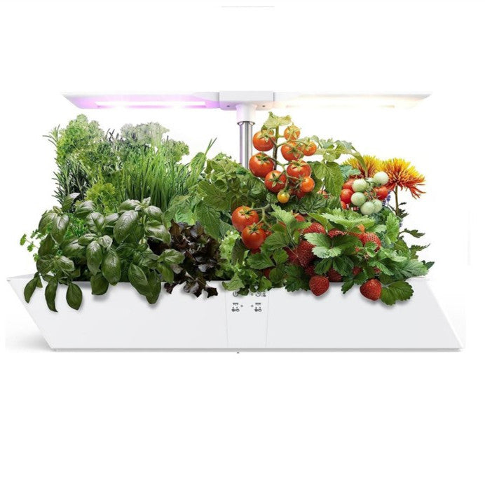 Hydroponics Growing System 12Pods,Indoor Herb Garden with Full Spectrum Grow Light,Plants Germination Kit(No Seed)with Independent Control Planting Mode,Automatic Timer,Ideal Gardening Gifts for Women