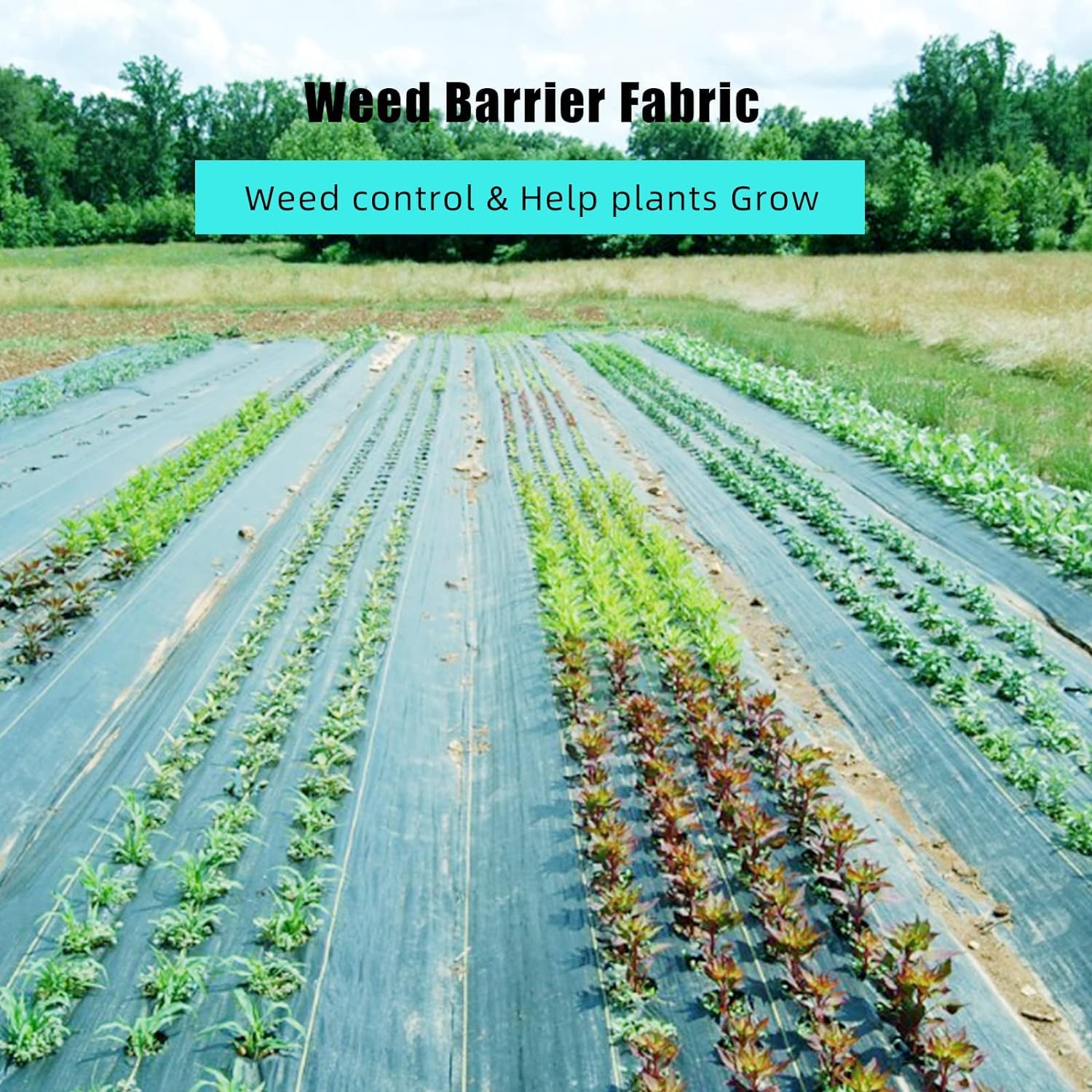 5x300FT Landscape Fabric, 5oz Double Layer Weed Control