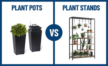 Plant Pots Vs. Plant Stands