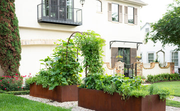 Metal Raised Garden Beds Vs. Wooden Raised Garden Beds