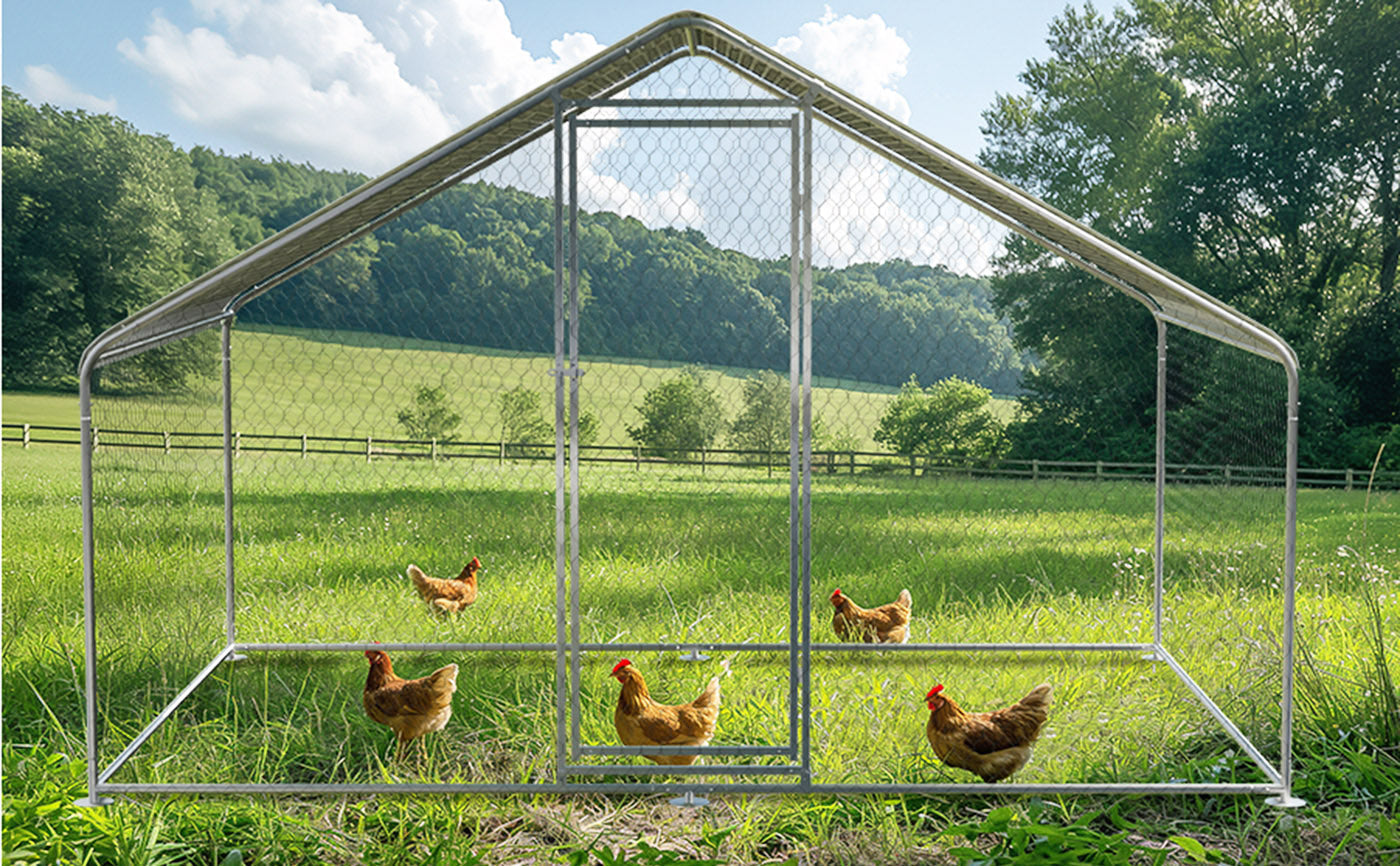 How To Choose The Right Chicken Coop 