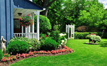Home Improvement Ideas