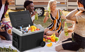 How to Choose the Right Car Refrigerator: All That You Need to Know