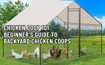 chicken coop