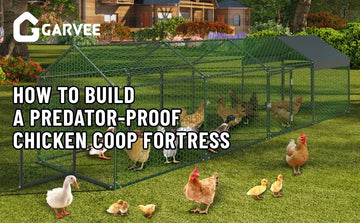 chicken coop