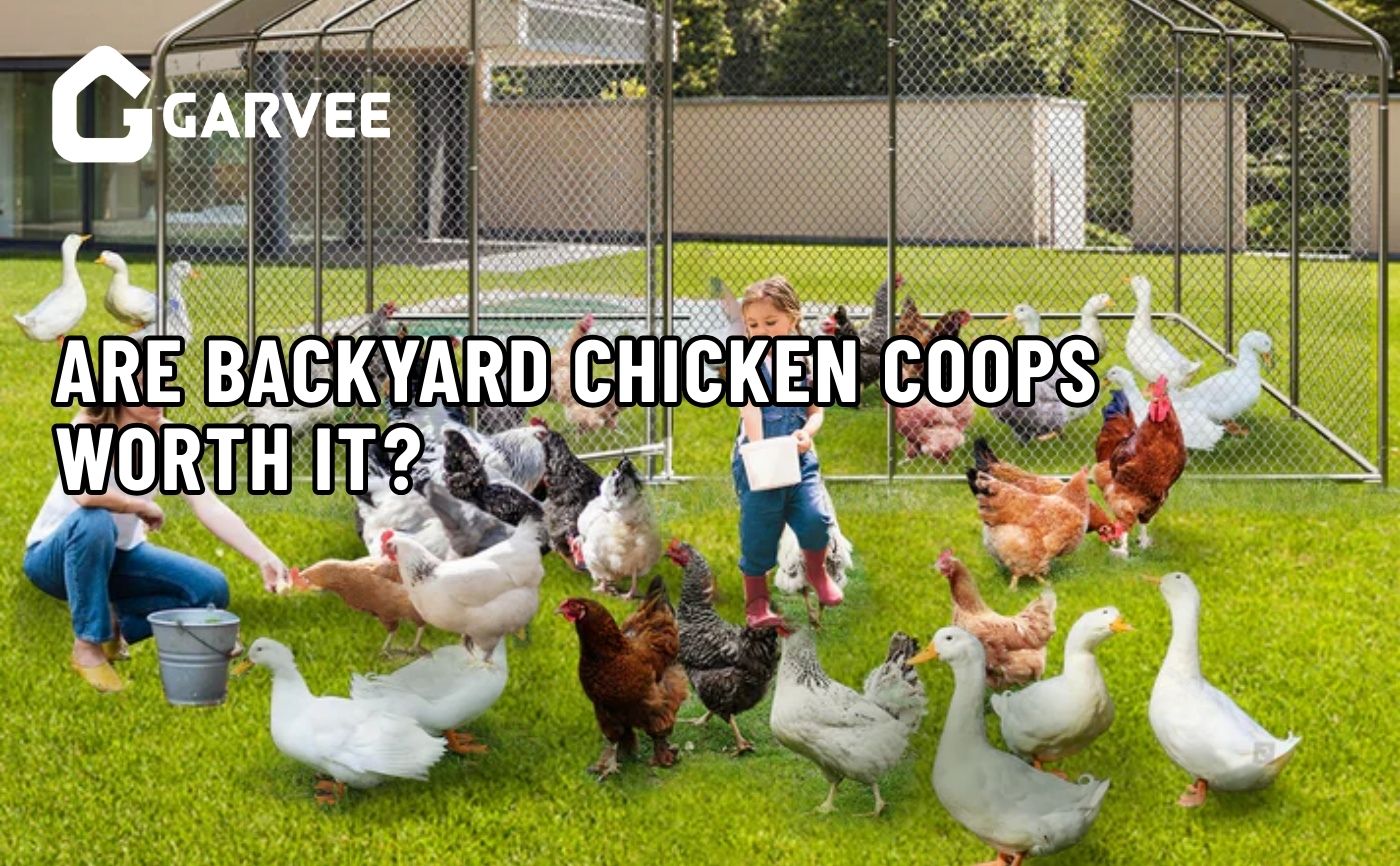 backyard chicken coop