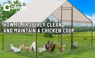chicken coop
