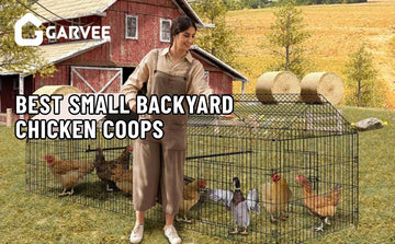 chicken coop
