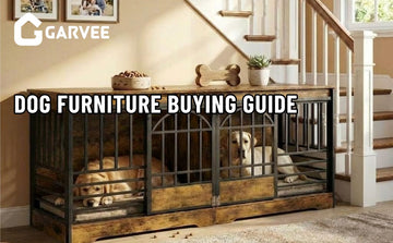 Dog Furniture