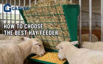 How To Choose The Best Hay Feeder