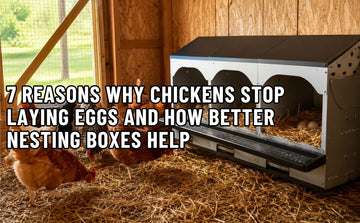 Nesting Box
