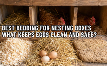 Best Bedding For Nesting Boxes