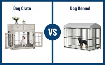 Dog Crate VS. Dog Kennel