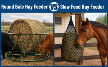 Round Bale Vs. Slow Feed Hay Feeder