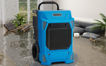 What does a Dehumidifier do? - GARVEE