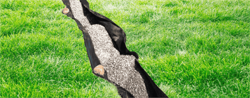 The Benefits of Weed Barrier Landscape Fabric - GARVEE