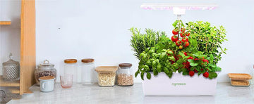 Hydroponics for Small Spaces - GARVEE