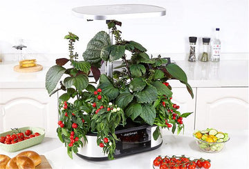 The Future of Indoor Gardening - GARVEE