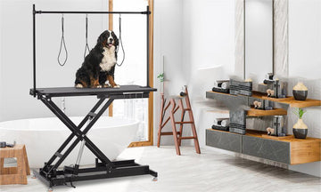 Essential Pet Supplies for a Happy Pet - GARVEE