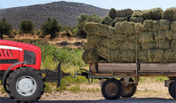 Versatile and Reliable: Skid Steer Mount Plate - GARVEE