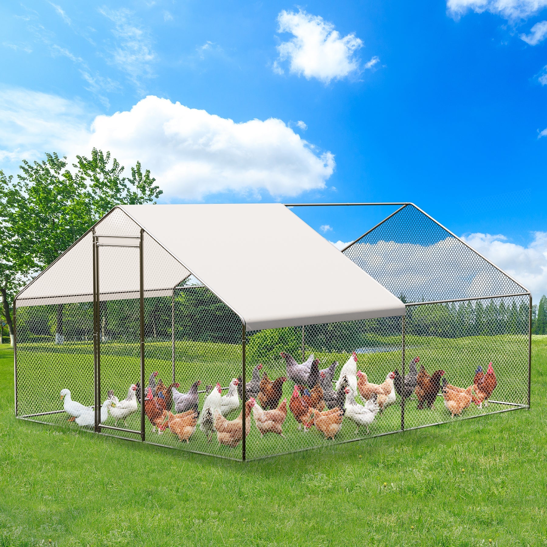Chicken Coop