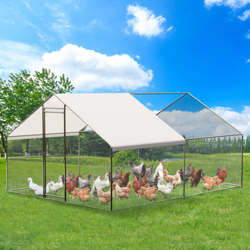 Chicken Coop