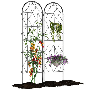 Garden Trellises