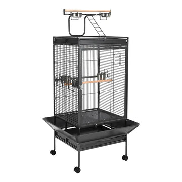 Bird Cages & Accessories