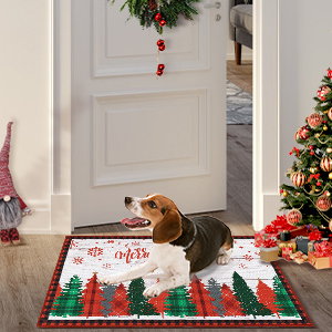 Garvee Merry Christmas Decorative Doormat 17x29 Non-Slip Low-Profile Buffalo Plaid Welcome Mat for Indoor Outdoor Entrance Doormat Xmas Winter Welcome Door Mat