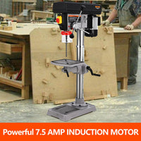 13 Inch 7.5 Amp Drill Press, 288-3084 RPM, Adjustable Table