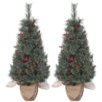 Garvee 3ft Pre-Lit Artificial Small Christmas Tree with 78 Warm White Lights, Tabletop Mini Christmas Tree with a Burlap Base, Battery Operated and Timer Function, Christmas Decoration for Home, 2 PCS