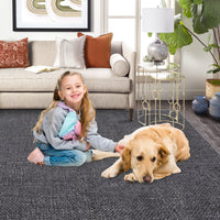 Garvee Area Rug 2x3 Modern Solid Small Washable Rug Chenille Front Door Doormat Indoor Foldable Floor Cover Entryway Door Mat Boho Non-Slip Welcome Mat for Living Room Bedroom Bedside Dark Grey