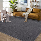 Garvee Area Rug 5x7 Modern Solid Textured Machine Washable Rug Contemporary Carpet Rug Foldable Stain Resistant Non-Slip Accent Rug for Living Room Farmhouse Dining Table Decor - Dark Gray