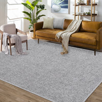 Garvee Area Rug 2x3 Modern Solid Small Washable Rug Chenille Front Door Doormat Indoor Foldable Floor Cover Entryway Door Mat Boho Non-Slip Welcome Mat for Living Room Bedroom Bedside Light Grey