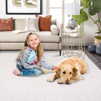 Garvee Modern Washable Solid Textured Rug 5x7 - Stain Resistant, Non-Slip, Chenille Fibers, Foldable, Ideal for Living Room, Farmhouse Decor