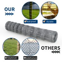 PLS_33CC4G7X
