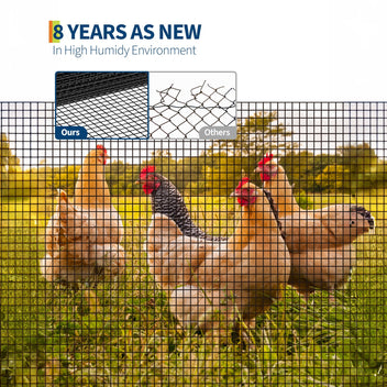 PPG_33D8MVWC