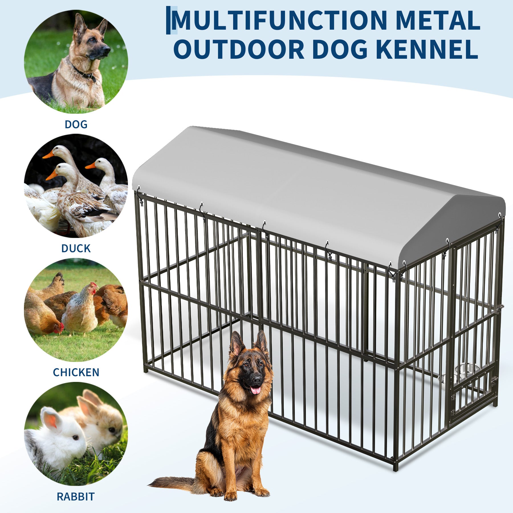 8 × 4 × 6 ft outdoor kennel infographic with dog, rabbit, chicken, and duck