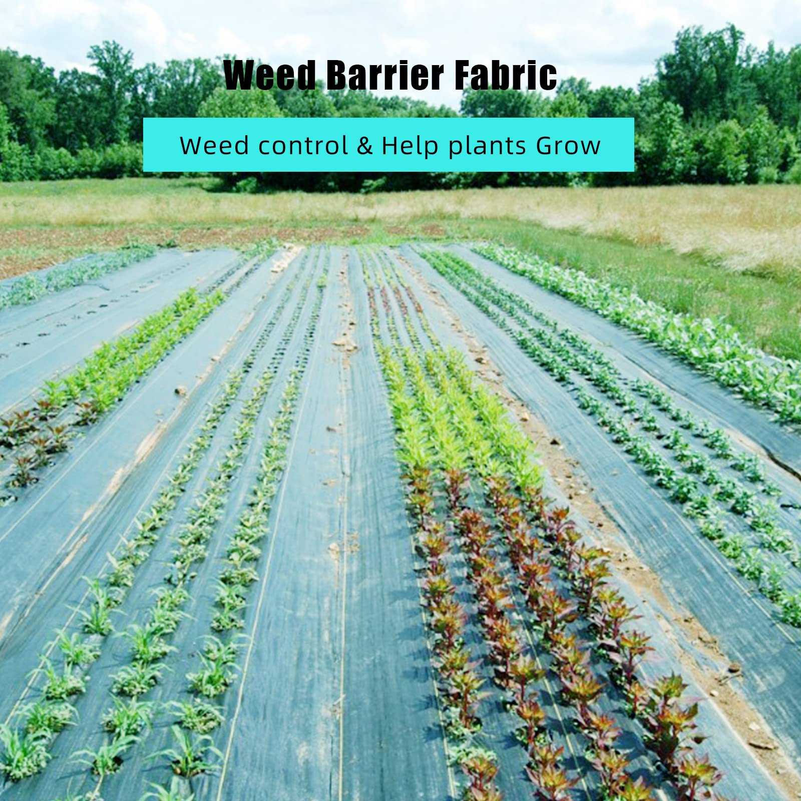3oz 6.5ft x 300ft Premium Heavy Duty Weed Barrier Fabric - GARVEE
