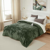 Garvee Heated Blanket Queen Size with Dual Control, Velvet Soft Fast Heating Blankets Queen, 4 Heat Settings & 10H Auto Off, Machine Washable, ETL Certified Electric Blanket, 84"x90" Green - Green