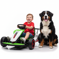 Garvee Ride - G Series: 6+,24V Drift Kart with 2X150W Strong Motor, 7AH Big Battery, Electric Pedals, Electric Go Kart Outdoor Race Toy - Green & White