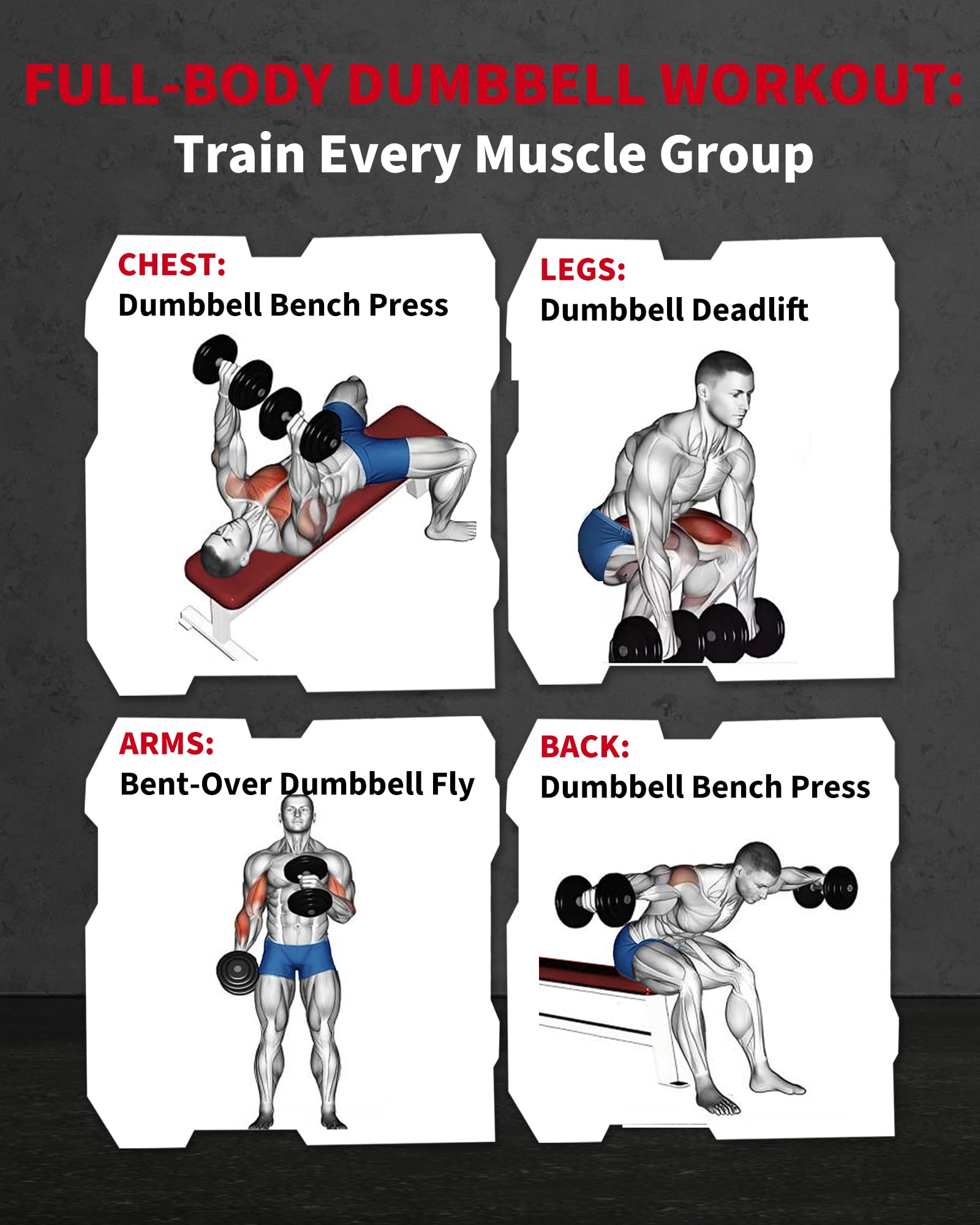 Garvee 40 LB Hex Dumbbell Set of 2 with Cast Iron Core, Rubber Encased Coating and Textured Carbon Steel Handle for Home Gym Strength Training