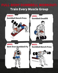 Garvee 40 LB Hex Dumbbell Set of 2 with Cast Iron Core, Rubber Encased Coating and Textured Carbon Steel Handle for Home Gym Strength Training