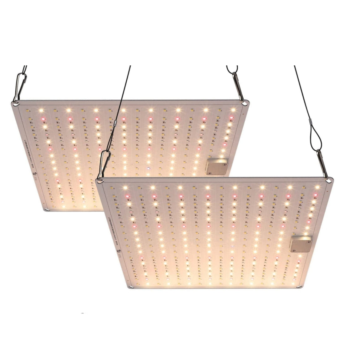 3x3ft 100W New Spectrum LED Plant Lamps, 2 Pack for Growth - GARVEE