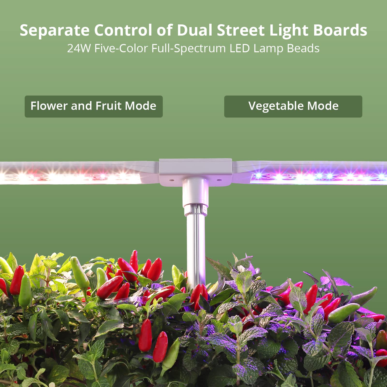 12 Pods Hydroponics Growing System Indoor Garden Kit with 24W 5 Color LED Grow Light