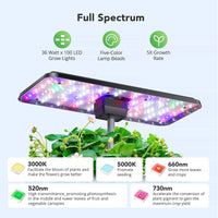 12 Pods Hydroponics Growing System Indoor Garden Kit with 36W 5 Color LED Grow Light