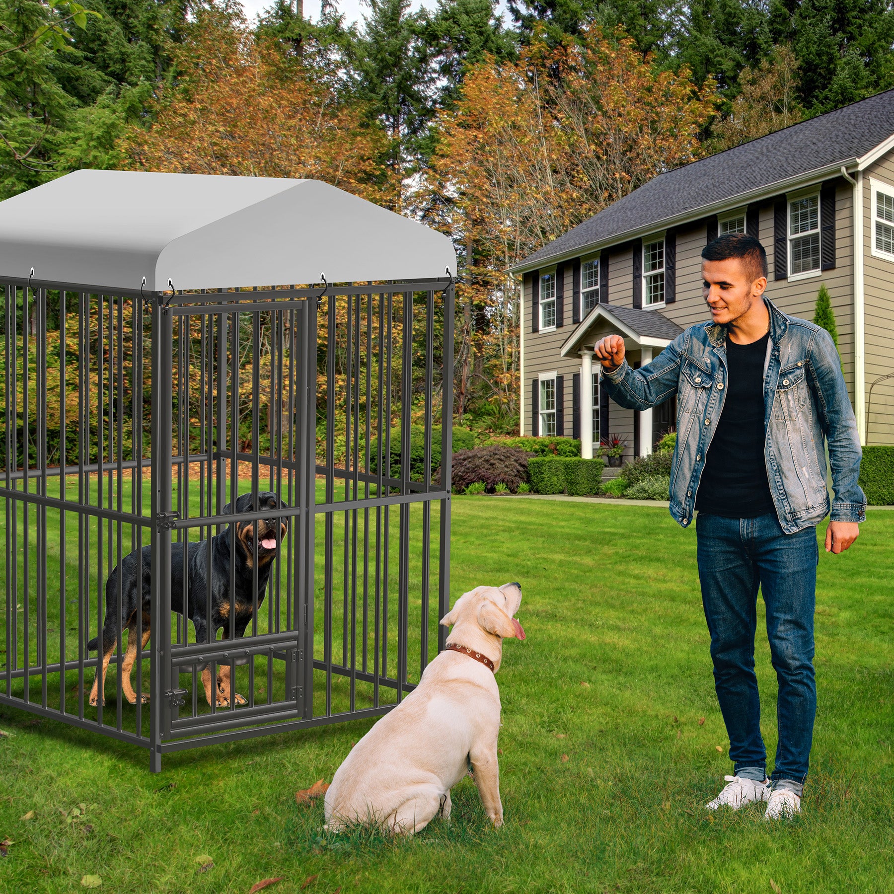 Outdoor Dog Kennel 8x4x6ft with Roof Heavy Duty | Garvee